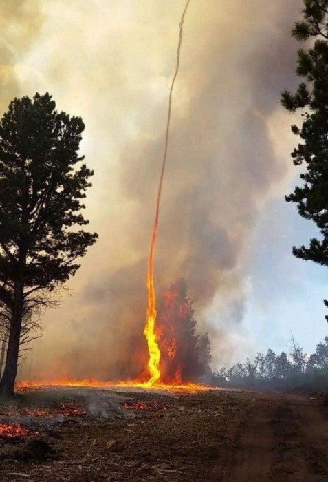 17 потрясающих фотографий, от которых становится не по себе 17 потрясающих фотографий, от которых становится не по себе