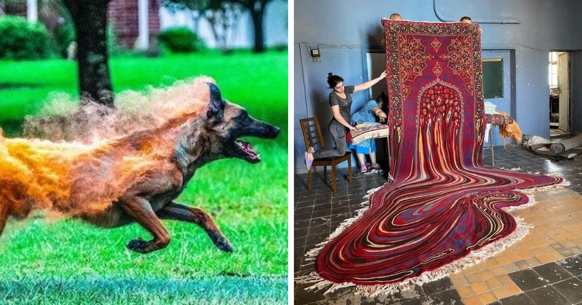 17 фотографий удивительных вещей, о которых вы, возможно, не знали, но они очень круты
