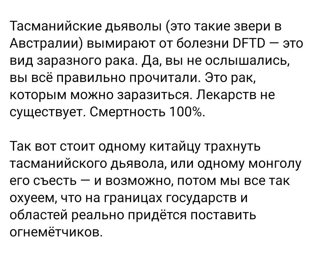 Тасманийский дьявол и 2020 год