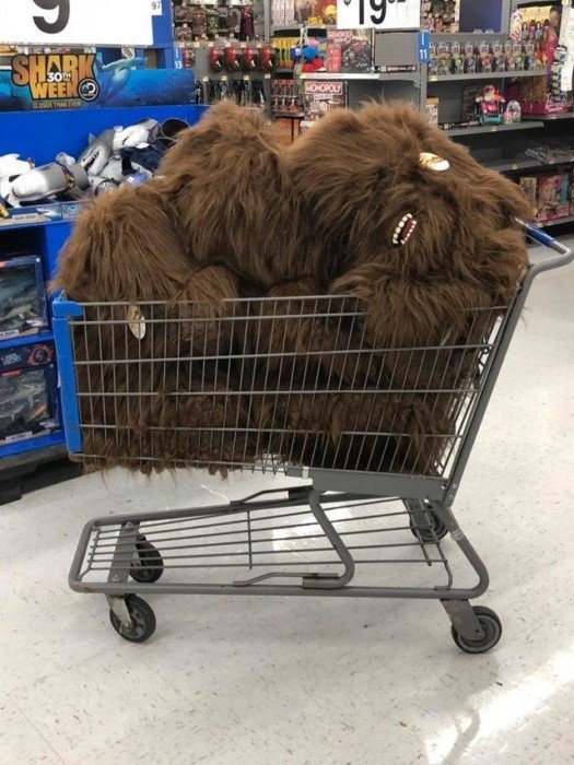 12 странных вещей, которые нашли люди в неожиданных местах 12 странных вещей, которые нашли люди в неожиданных местах