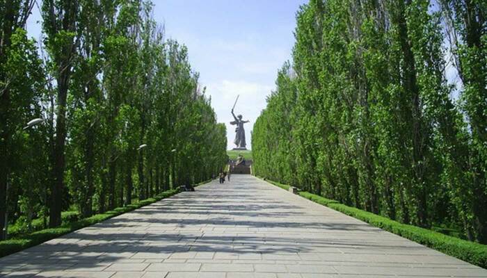 Благодаря форме тополя можно высаживать близко друг к другу / Фото: волгоград-экскурсии.рф