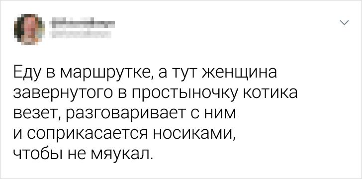 19 твитов о находчивых людях, которые рвут все шаблоны в клочья