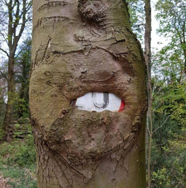 Дерево съело указатель