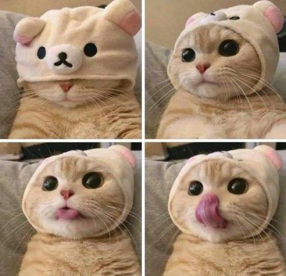 Подборка картинок. Вечерний выпуск (30 фото) - 19.10.2020