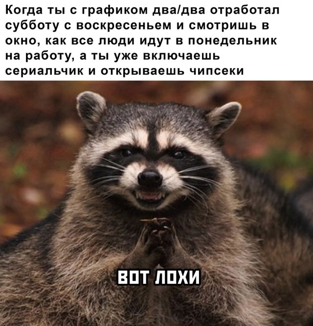 Подборка картинок. Вечерний выпуск (30 фото) - 19.10.2020