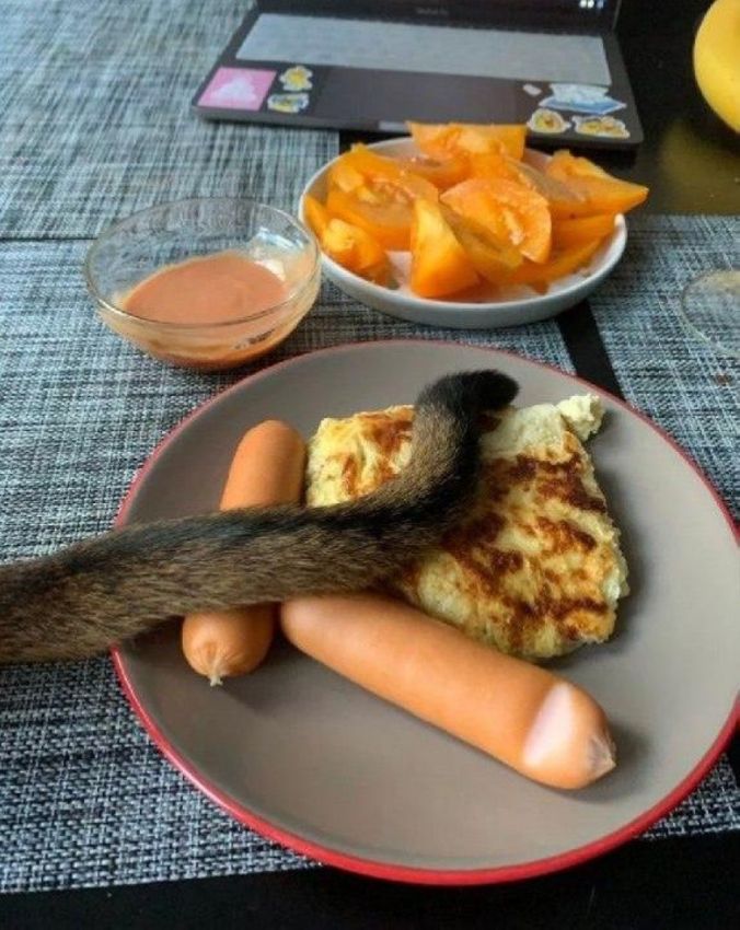 Комплимент от шеф-повара