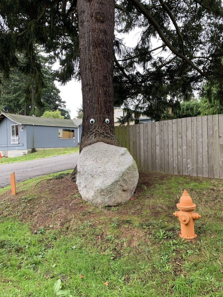 Подборка картинок. Дневной выпуск (30 фото) - 21.10.2020