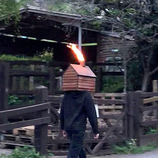 Подборка картинок. Дневной выпуск (30 фото) - 21.10.2020