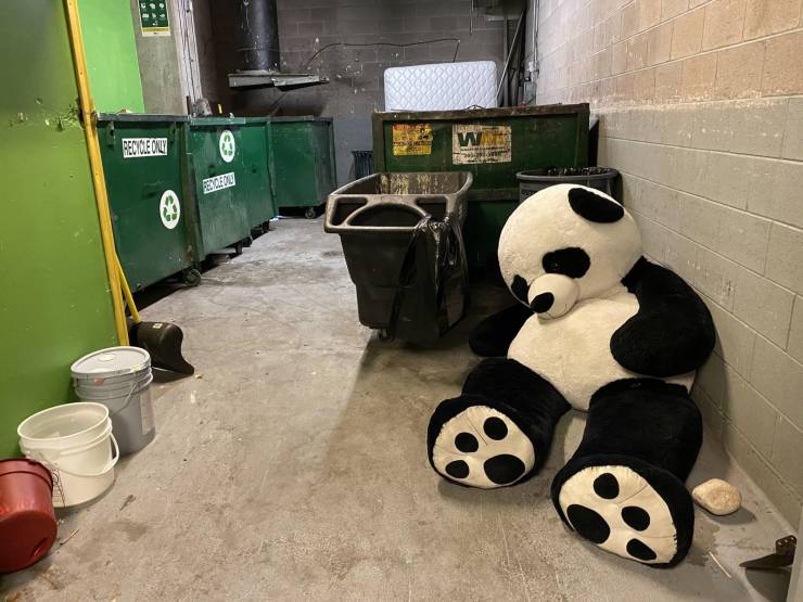 Выброшенный медведь