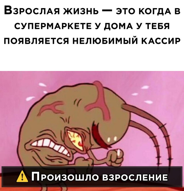 Взрослая жизнь