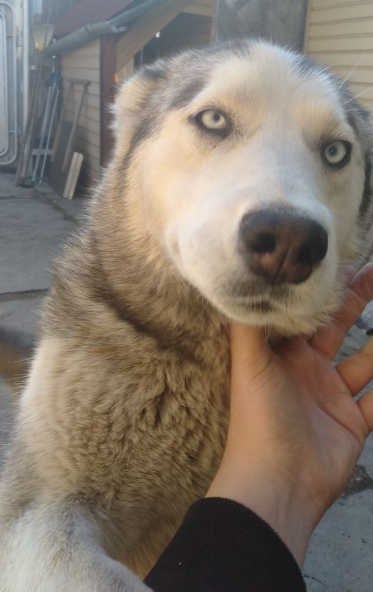 17 человек, которые на себе испытали силу волшебных совпадений