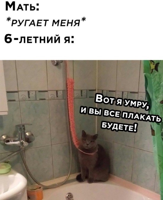 Подборка картинок. Вечерний выпуск (30 фото) - 23.10.2020