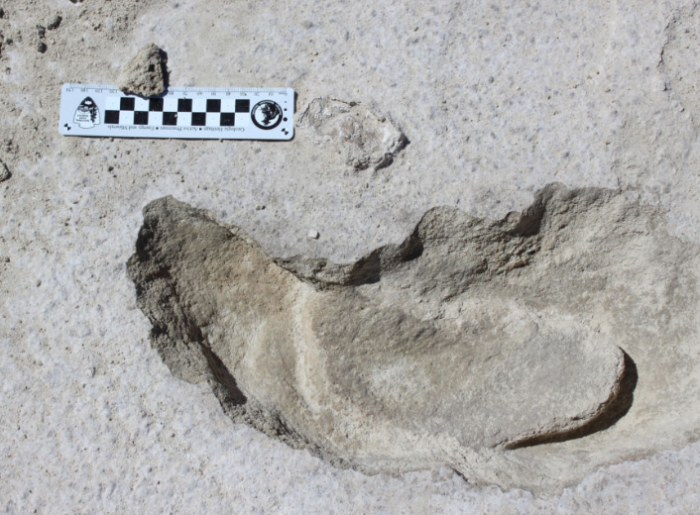 Каждый такой след может рассказать о многом. /Фото:arstechnica.net Каждый такой след может рассказать о многом. /Фото:arstechnica.net