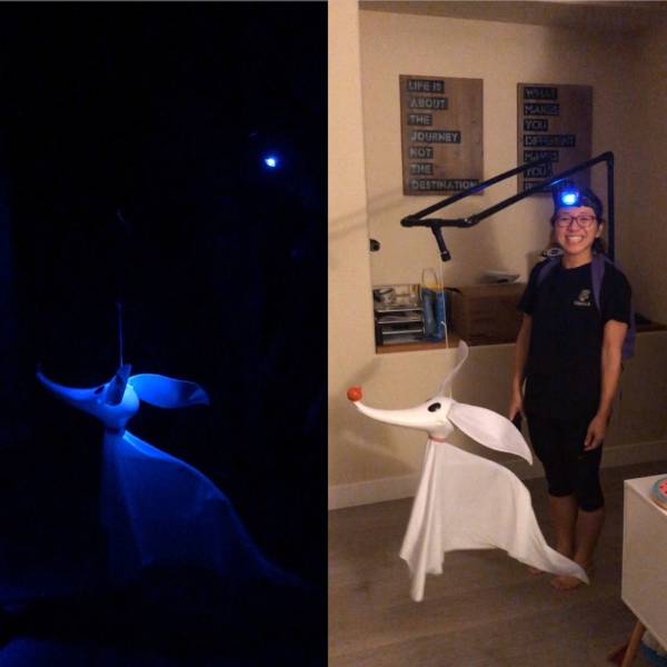 Подборка картинок. Вечерний выпуск (30 фото) - 30.10.2020