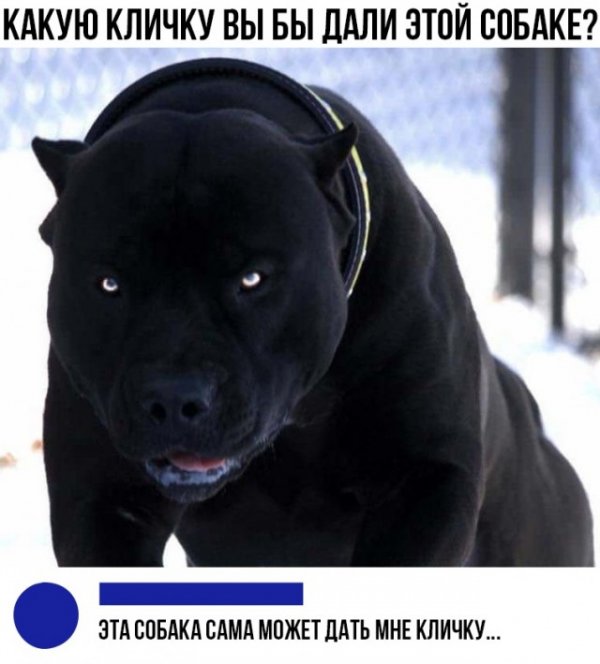 Подборка картинок. Вечерний выпуск (30 фото) - 30.10.2020