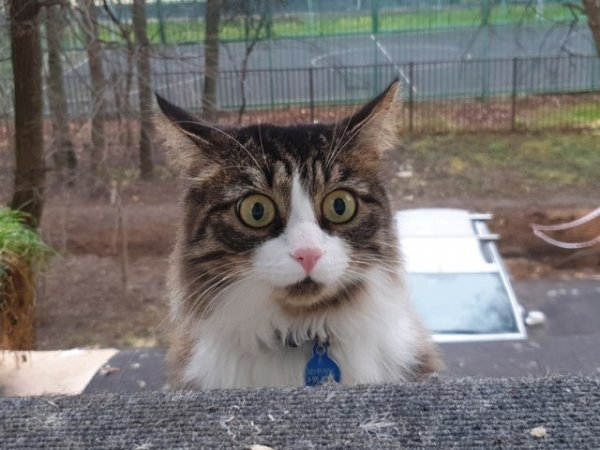 Подборка картинок. Вечерний выпуск (30 фото) - 30.10.2020