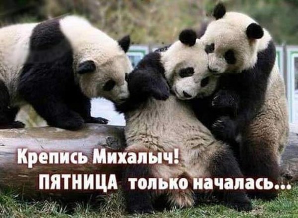 Подборка картинок. Вечерний выпуск (30 фото) - 30.10.2020