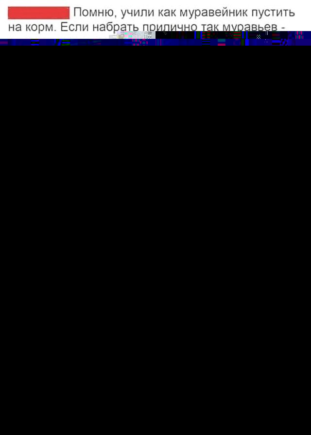 Молодые пионеры