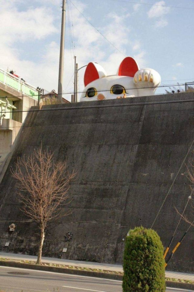 Огромный кот