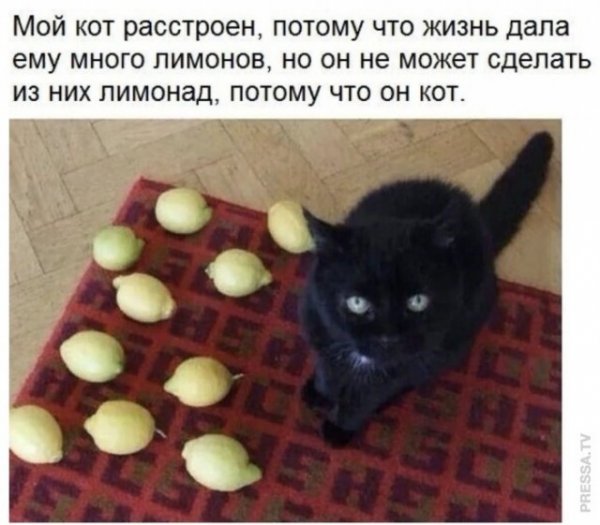 Немного картинок для настроения