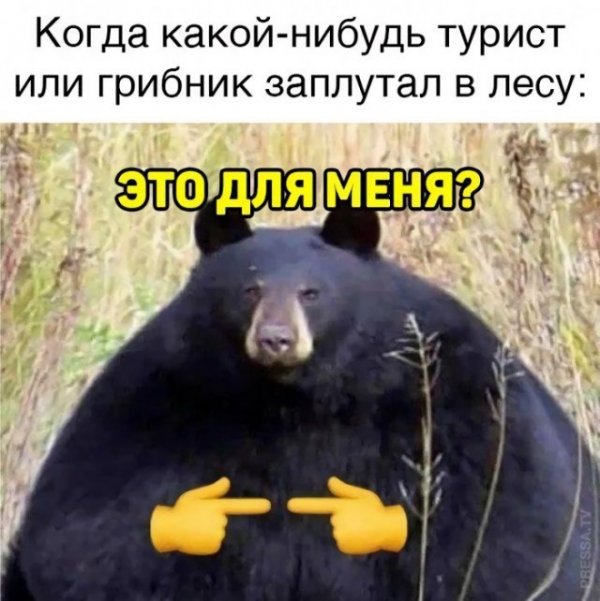 Немного картинок для настроения