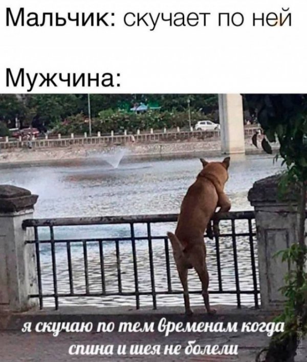 Немного картинок для настроения