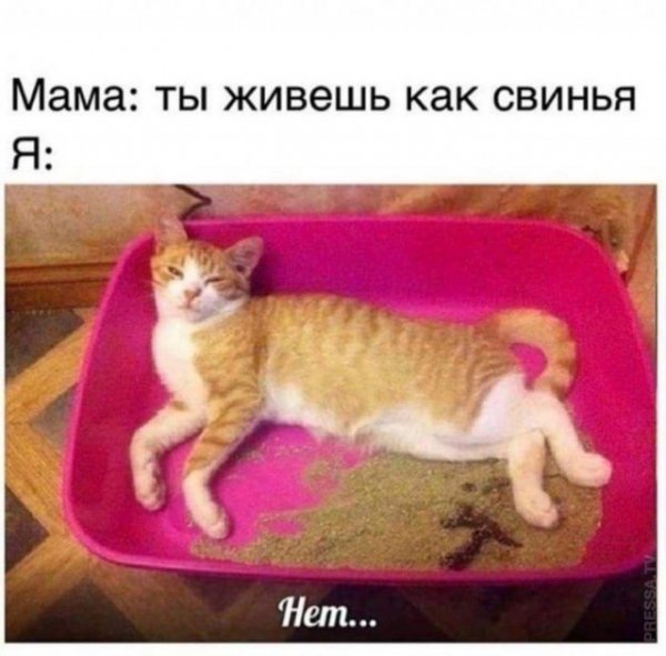 Немного картинок для настроения