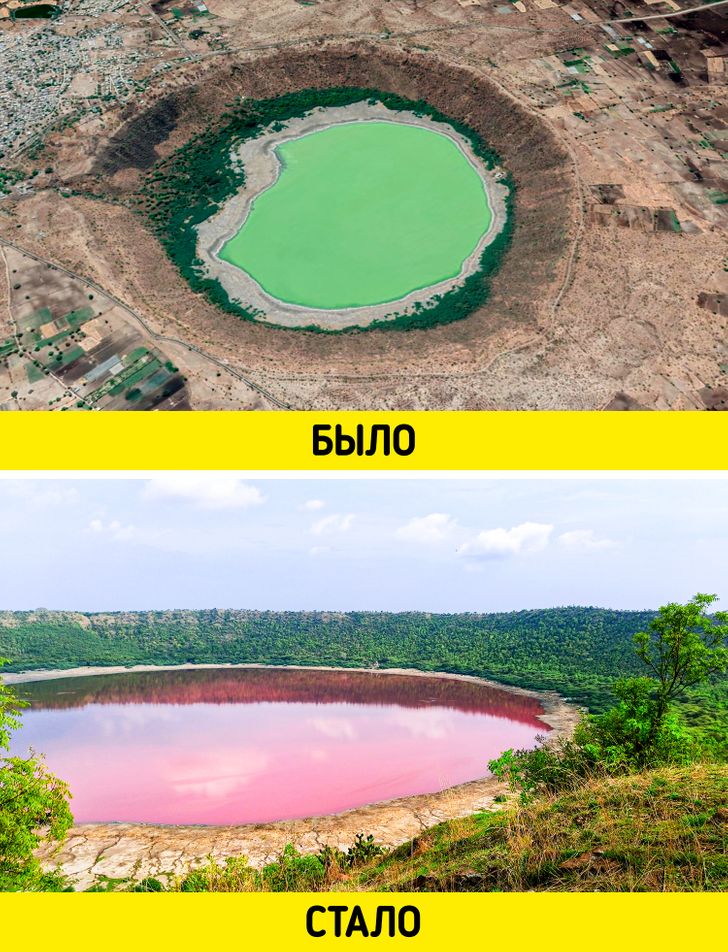 10 интригующих находок, которые стали возможны благодаря картам Google