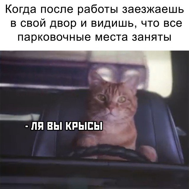 Негде припарковаться во дворе