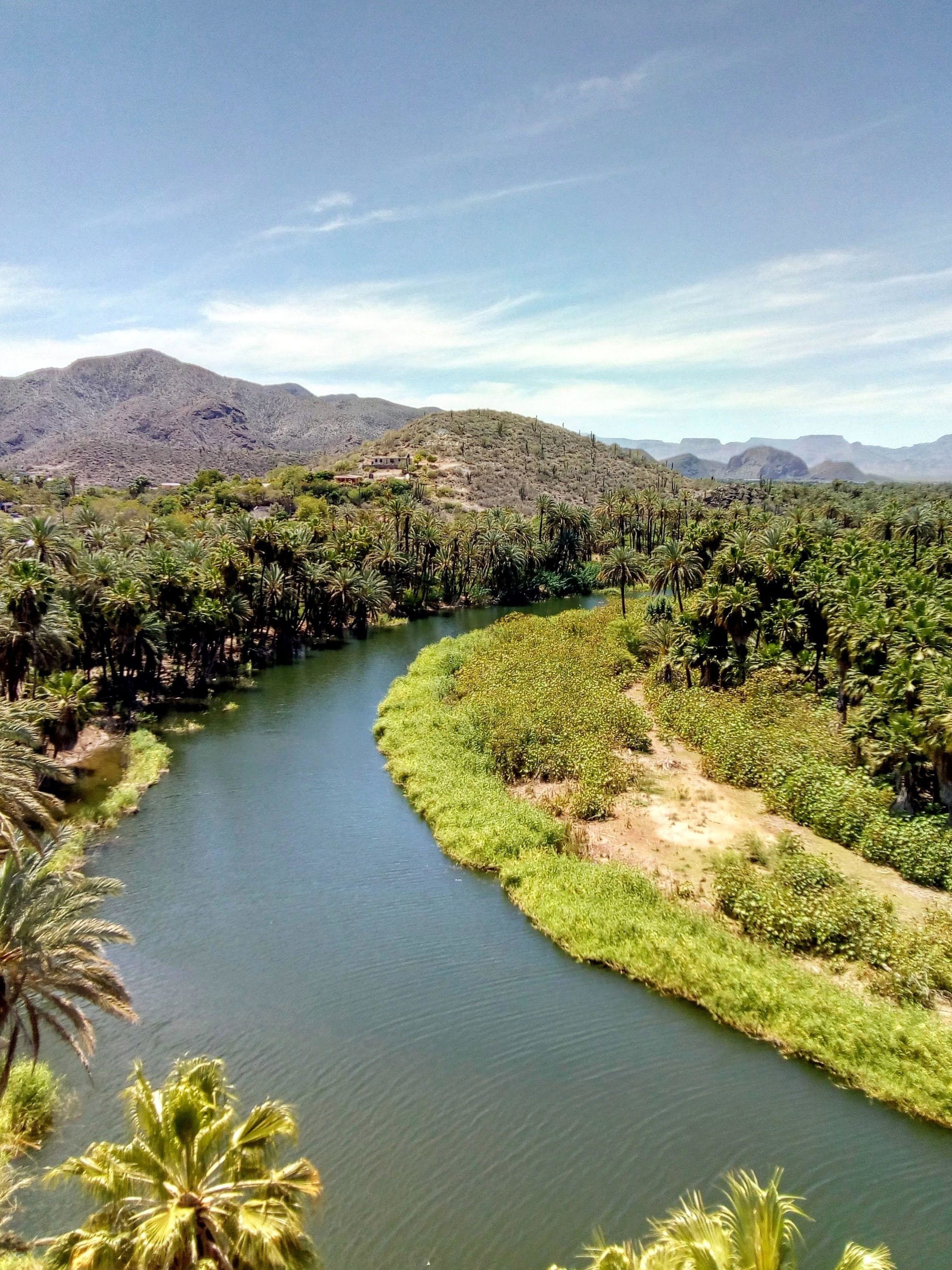 Мексиканский город-оазис посреди пустыни