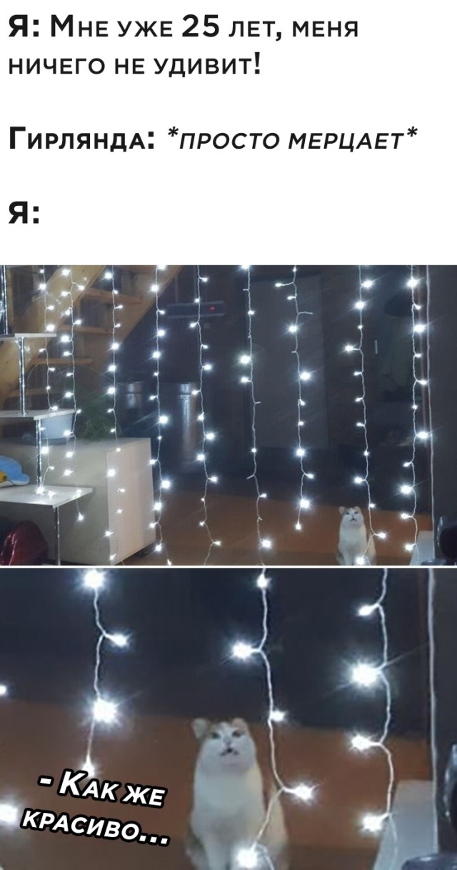 Подборка картинок. Вечерний выпуск (30 фото) - 23.11.2020