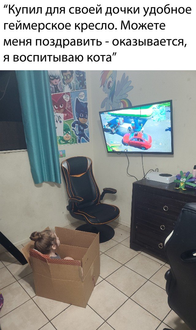 Ребенок-кот