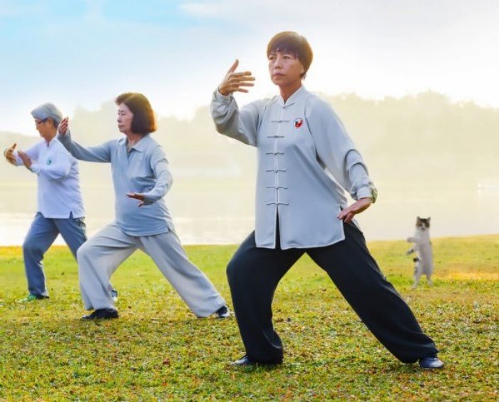 Кот-прыгун стал новым героем фотошоп-битвы в Сети