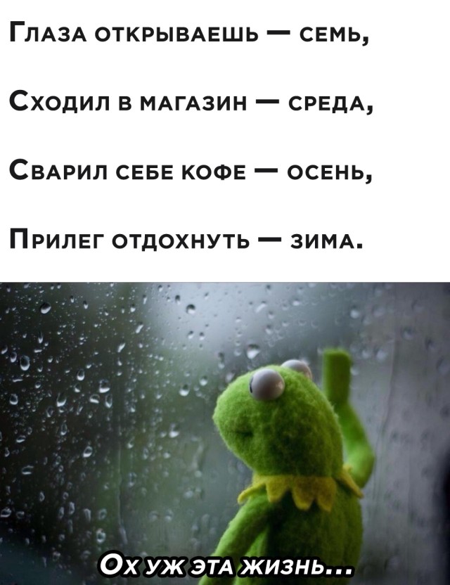 Заснул - а уже зима