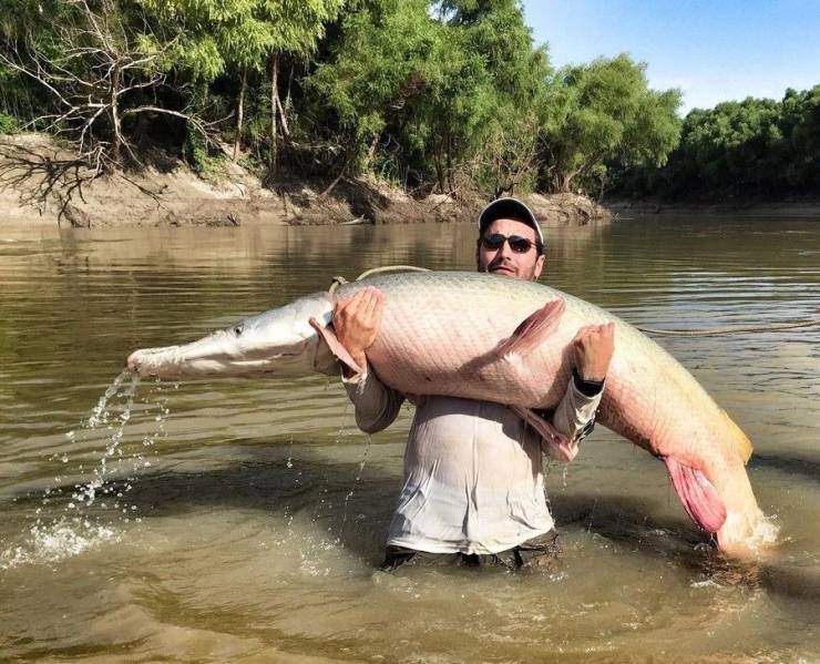 Отличный улов рыбака