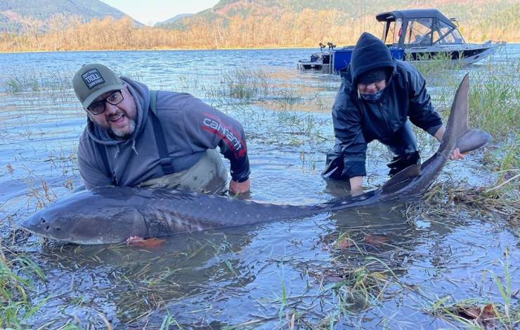 Подборка картинок. Вечерний выпуск (30 фото) - 27.11.2020