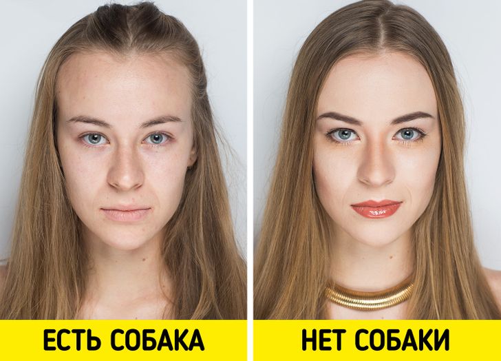 15 ошибок в воспитании, которые могут дорого обойтись каждому владельцу собаки