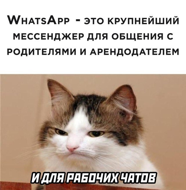 Шутка про ватсап