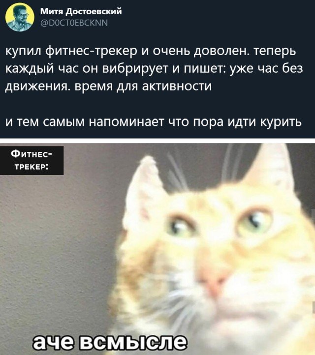 Фитнес-трекер и активность