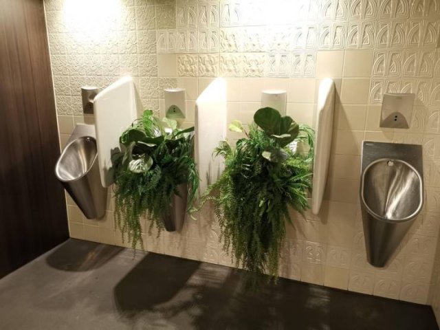 Дизайн туалета