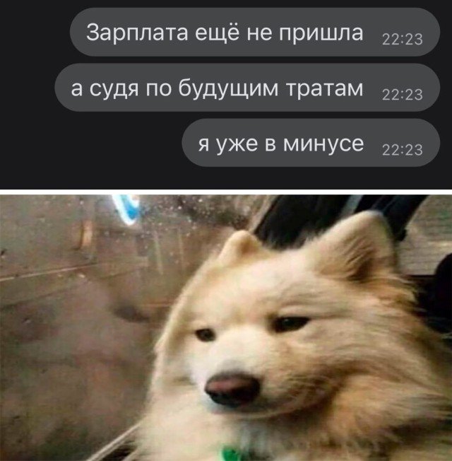 Зарплата и мои траты