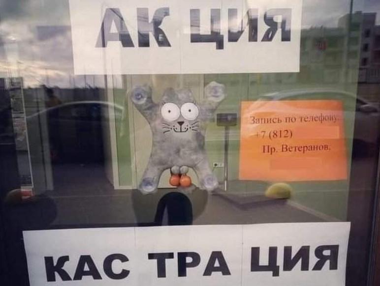 По родным просторам