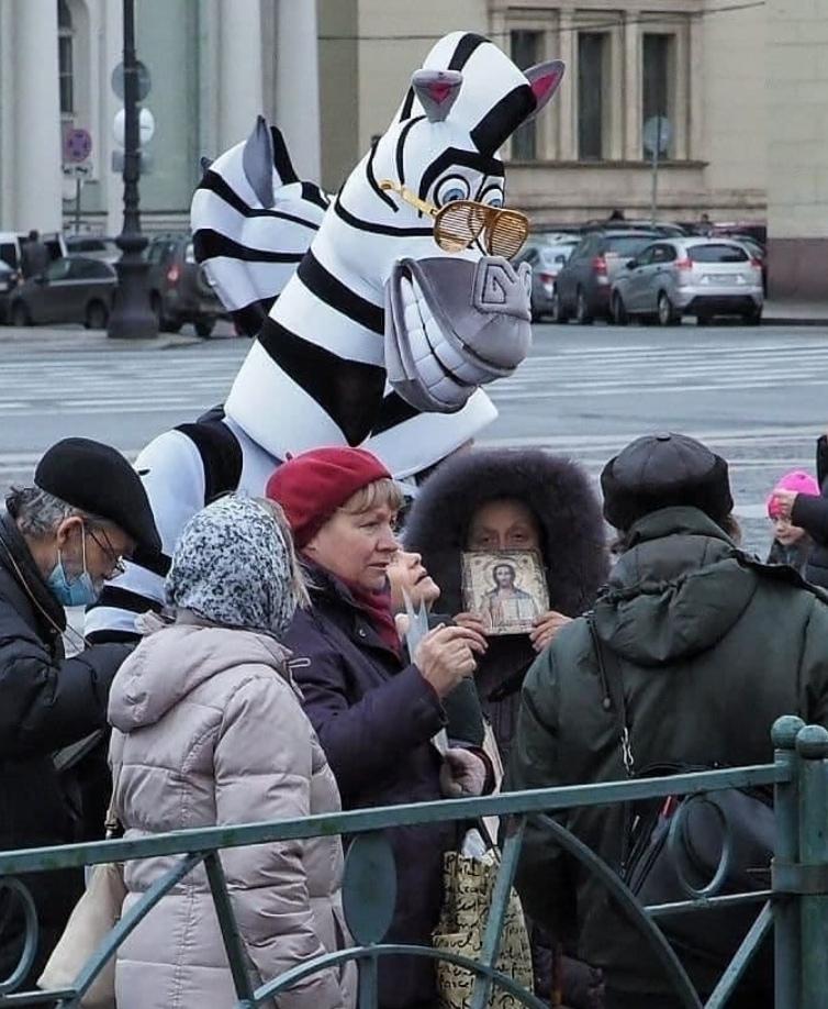 По родным просторам