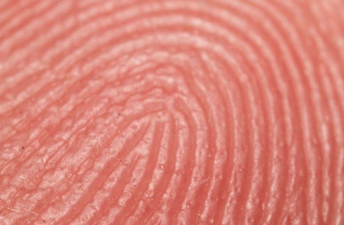 23 доказательства, что приближенные во сто крат вещи перестают быть обычными