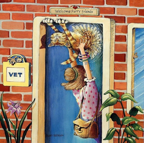 Гэри Паттерсон и его забавные кошки Гэри Паттерсон и его забавные кошки