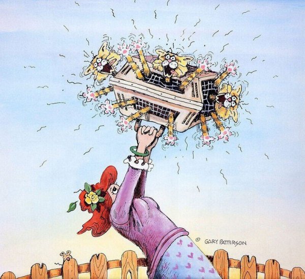 Гэри Паттерсон и его забавные кошки Гэри Паттерсон и его забавные кошки