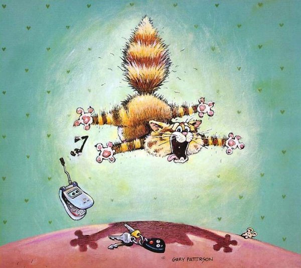 Гэри Паттерсон и его забавные кошки Гэри Паттерсон и его забавные кошки