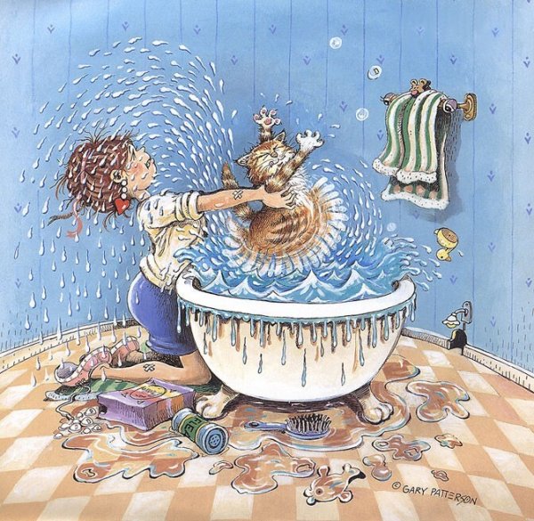 Гэри Паттерсон и его забавные кошки Гэри Паттерсон и его забавные кошки