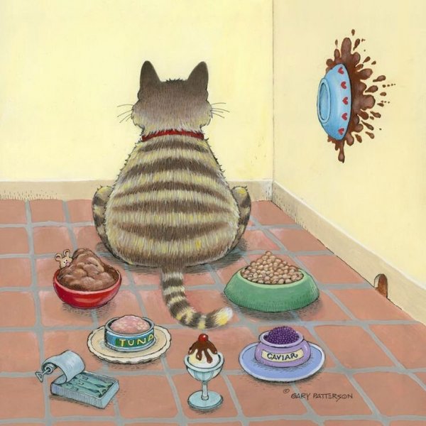 Гэри Паттерсон и его забавные кошки Гэри Паттерсон и его забавные кошки