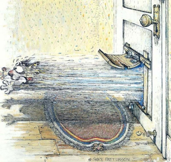 Гэри Паттерсон и его забавные кошки Гэри Паттерсон и его забавные кошки